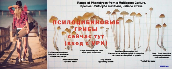 гашишное масло Аркадак